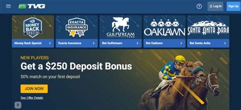 tvg online betting|tvg horse racing entries model.